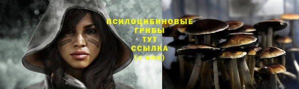 герыч Богородицк