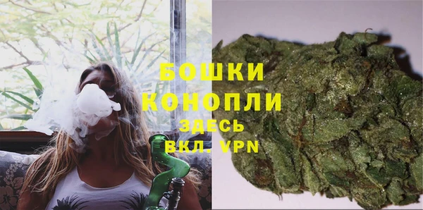 тгк Богданович
