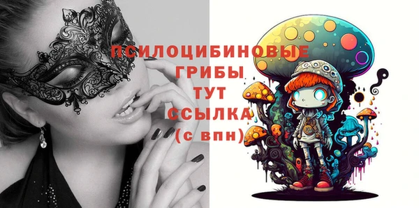 тгк Богданович