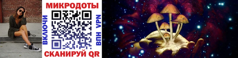 Галлюциногенные грибы мухоморы  Малая Вишера 