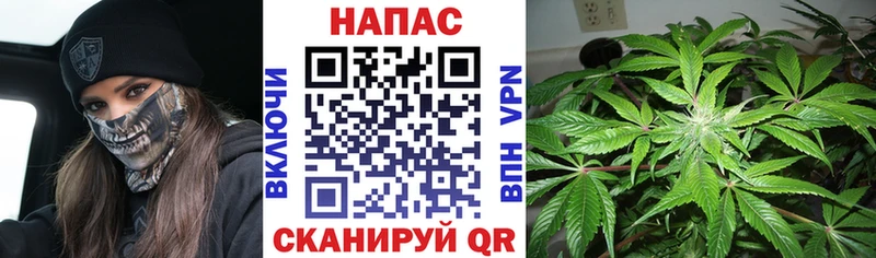 Марихуана марихуана  Малая Вишера 